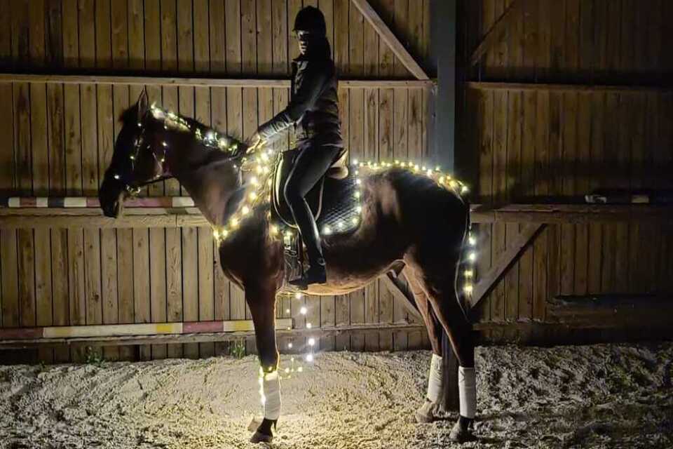 WhatsApp Image 2025-01-25 à 14.2